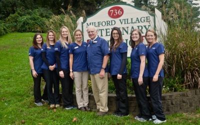 Local woman buys Milford Village Veterinary Clinic